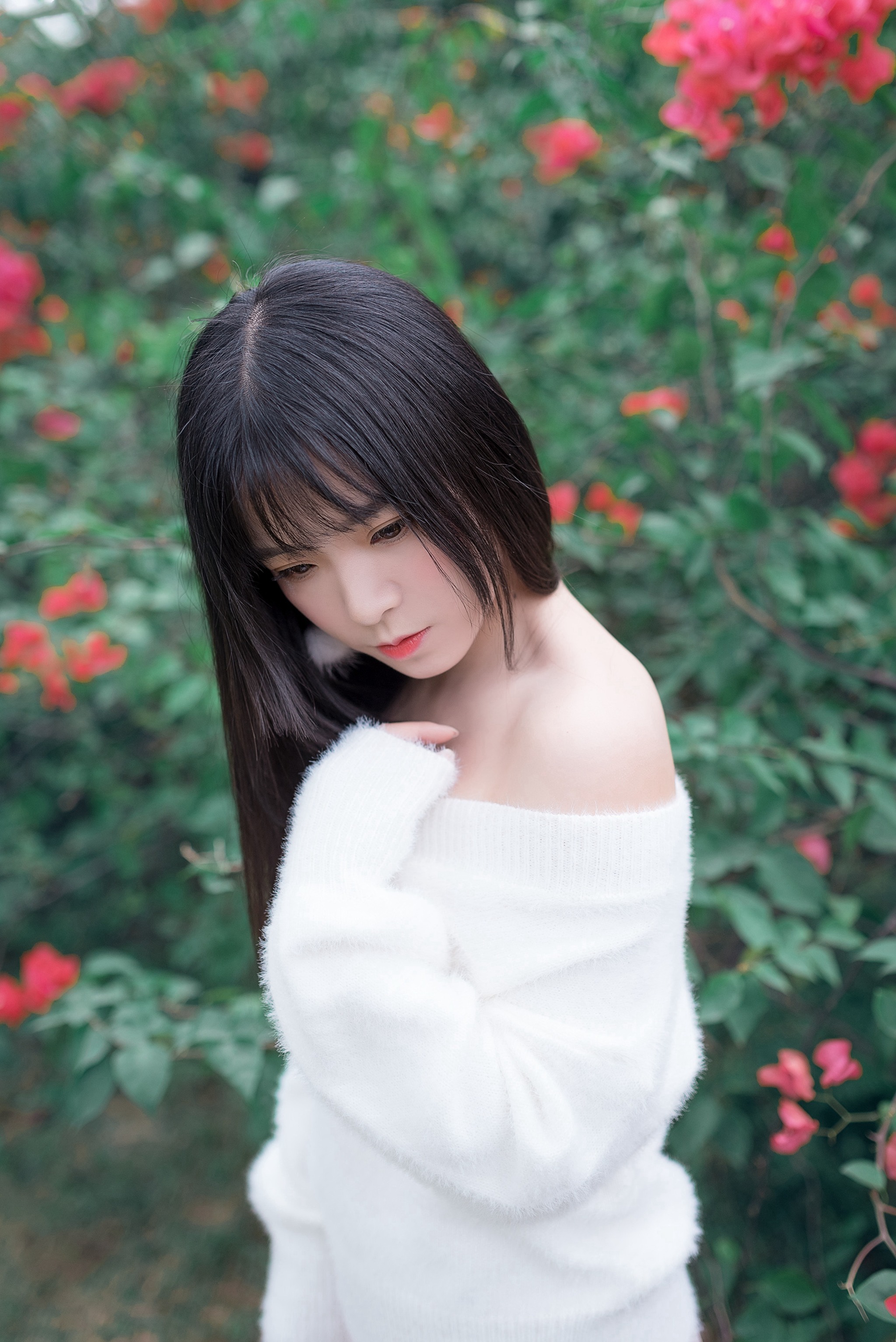 图片[1]-风之领域 – NO.197 香肩上的花瓣 [52P]-XikXak